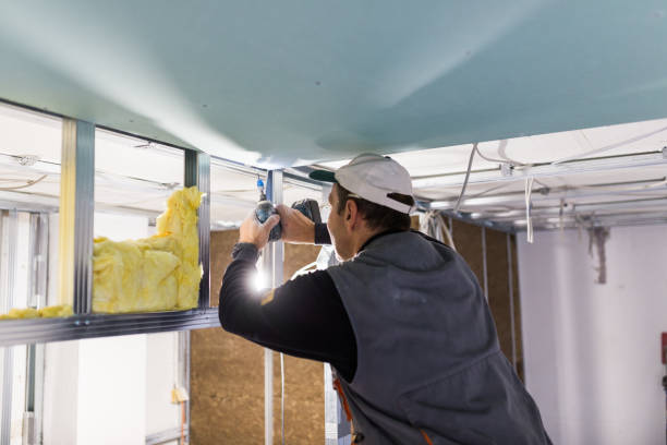 Best Pipe and Duct Insulation  in Wills Point, TX