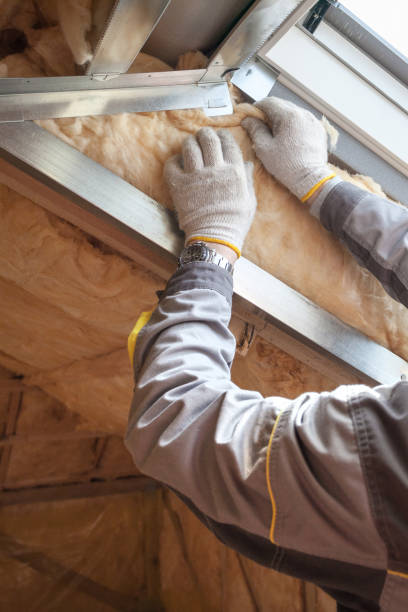 Best Insulation for Metal Buildings  in Wills Point, TX