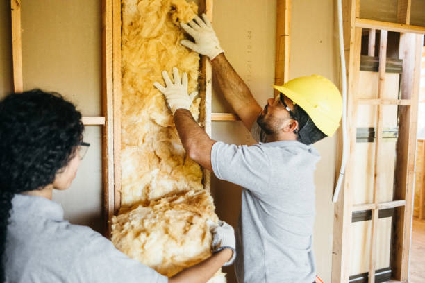 Types of Insulation We Offer in Wills Point, TX