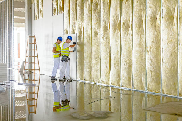 Best Insulation Air Sealing  in Wills Point, TX